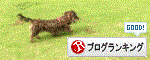 banner6.gif