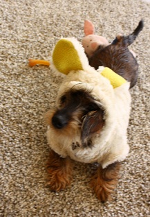 moi201301271.jpg