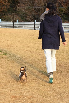 moi201302261.jpg