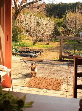 moi201302265.jpg