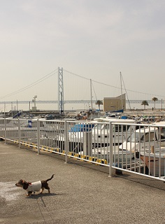 moi201303073.jpg