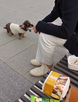 moi201303074.jpg