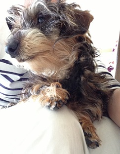 moi201306037.jpg