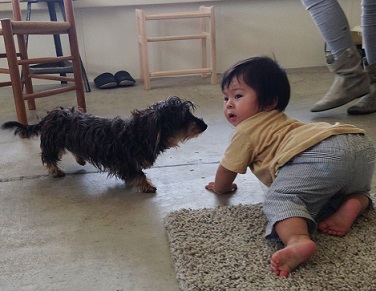 moi201306151.jpg