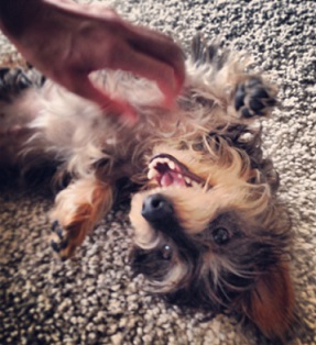 moi201306281.jpg