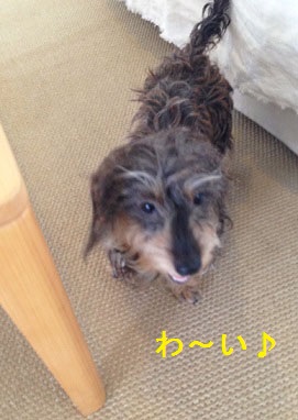 moi201306284.jpg