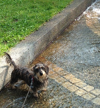 moi201308281.jpg
