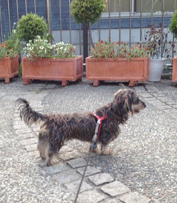 moi201308282.jpg